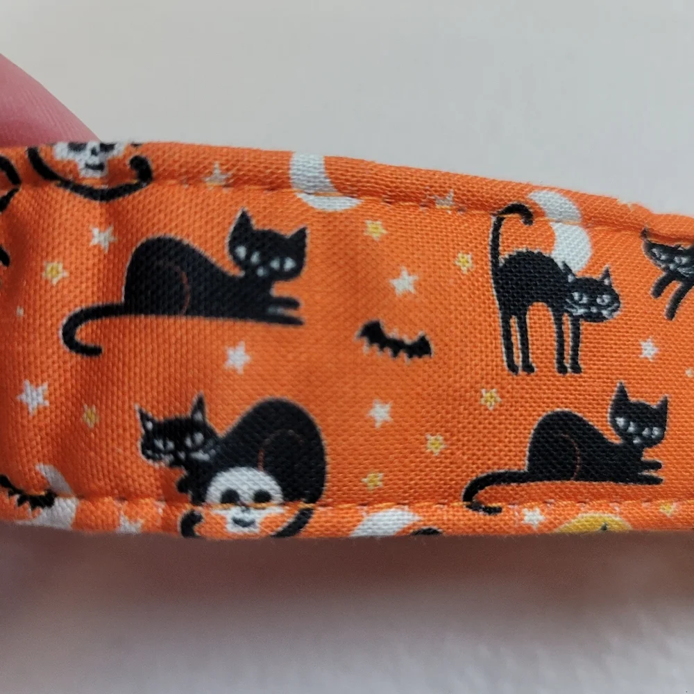 Lionheart Glory Orange Cat Print Dog Collar with Rose Gold Hardware